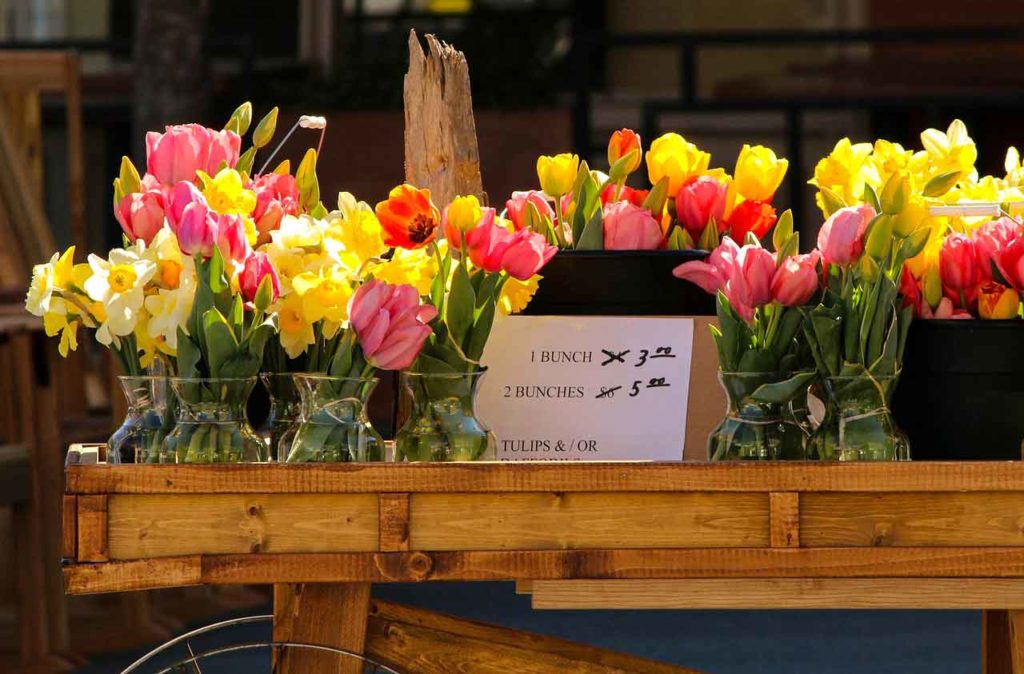 Que faire à Amsterdam : Acheter quelques tulipes au Bloemenmarkt
