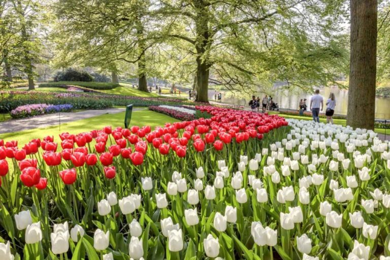 Keukenhof 2024 Horaires d’ouverture