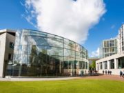 Musée Van Gogh Amsterdam : Horaires d’ouverture 2025