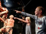 Amsterdam en famille : 12 activités à faire avec les enfants