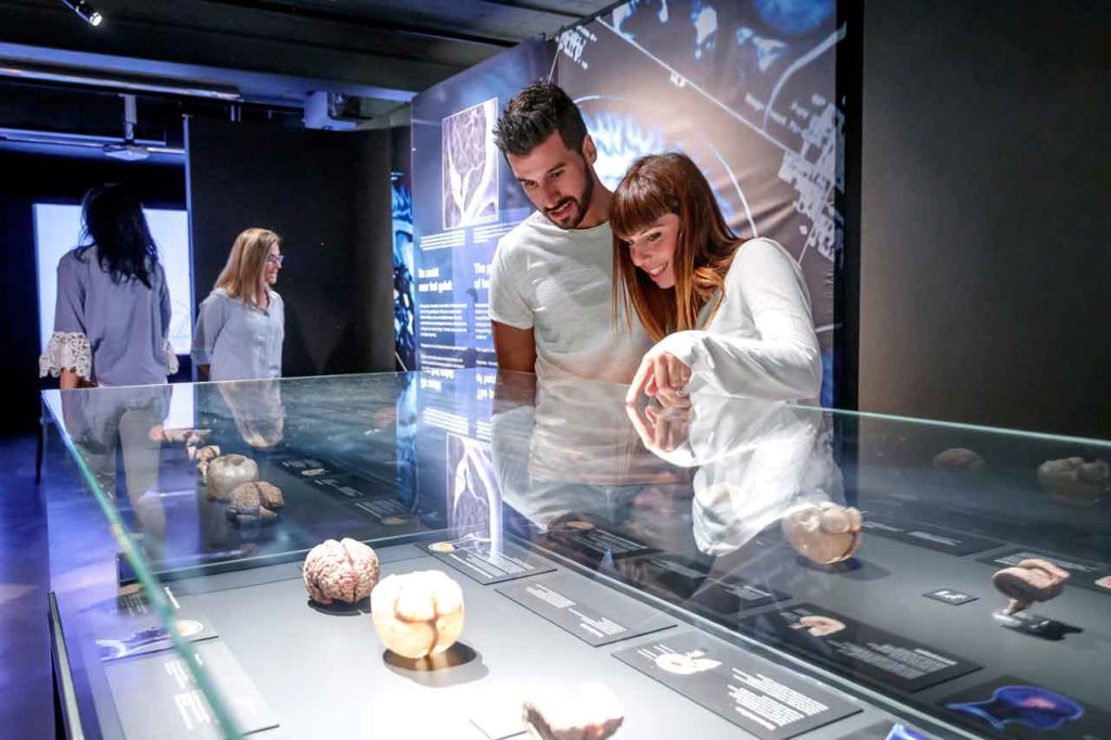 Body Worlds à Amsterdam : Horaires, prix et tickets coupe-file